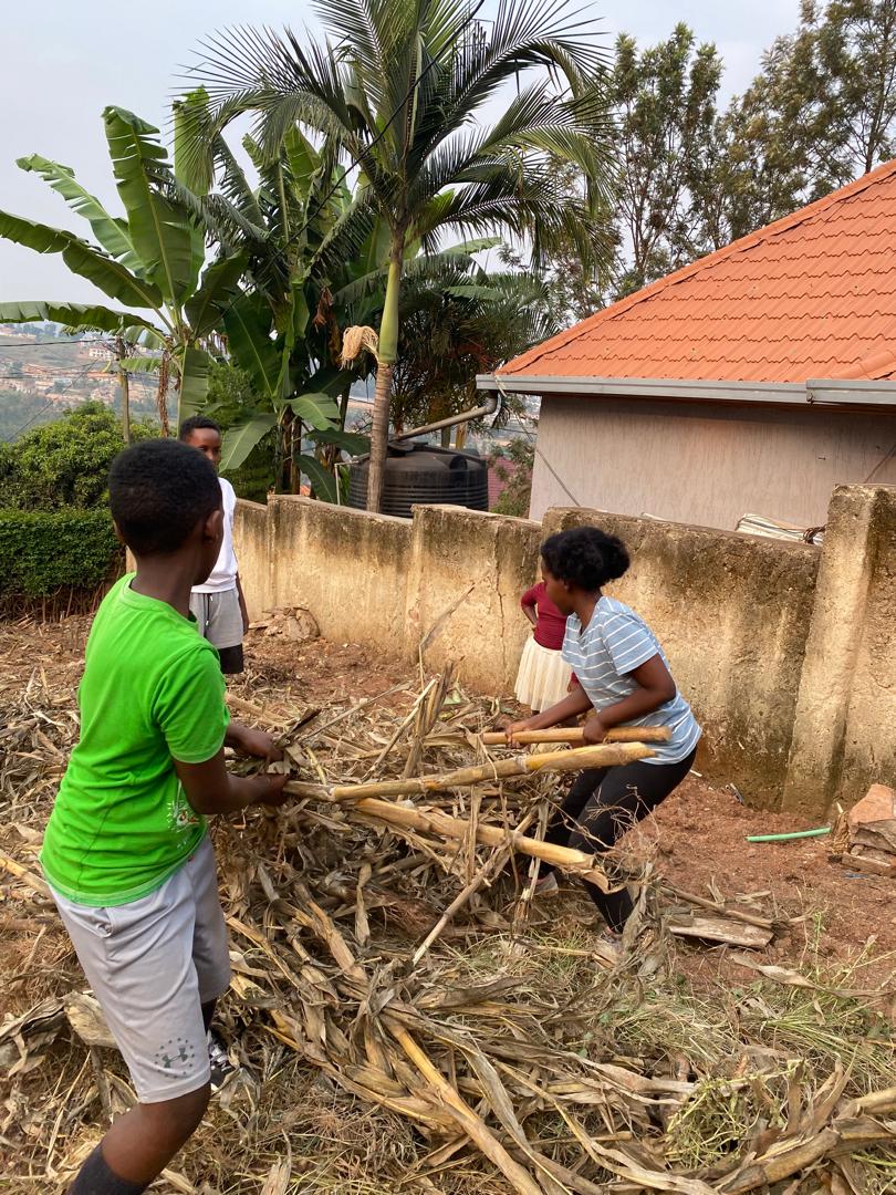 Children learning agricultural skills
